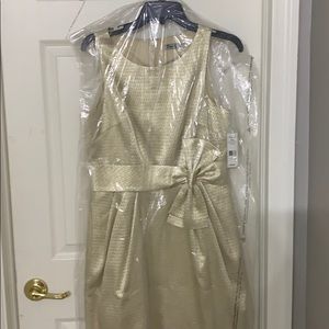 Dress Too cute! Nordstrom